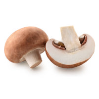 Mushroom icon