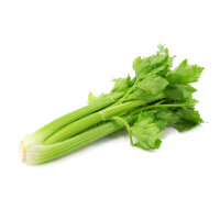 Celery icon