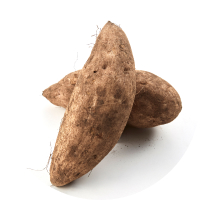 Murasaki Sweet Potato icon
